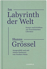 Im Labyrinth der Welt